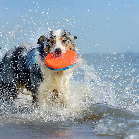 公寓 Namaste -luxus Am Krakower